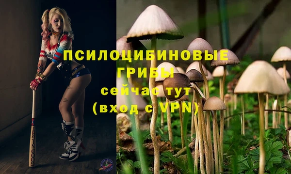 MDMA Алексин